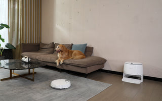 Gift the Redroad G10 Vacuum-Mop Robot to Your Parents This Christmas: A Cleaner Home, A Longer-Lasting Love