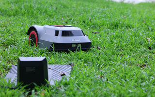 How to Choose the Right Robotic Lawn Mower? Here’s What You Need to Consider
